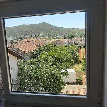 Andela-2